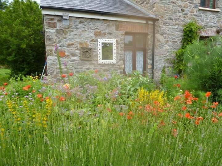 Middle Mill Bed & Breakfast Kidwelly Bagian luar foto