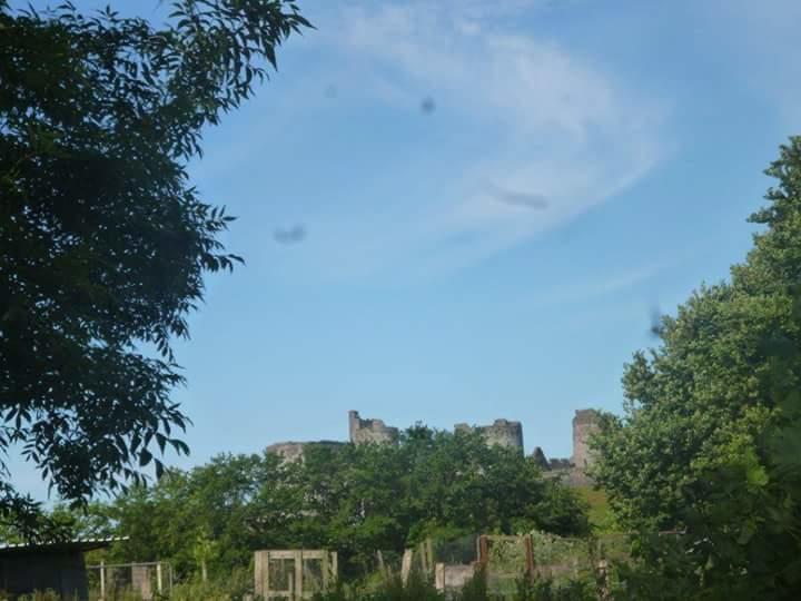 Middle Mill Bed & Breakfast Kidwelly Bagian luar foto